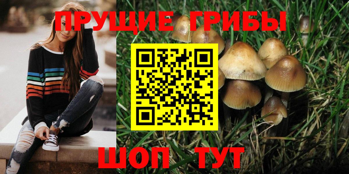 Галлюциногенные грибы мухоморы  Вход с VPN  Егорьевск 