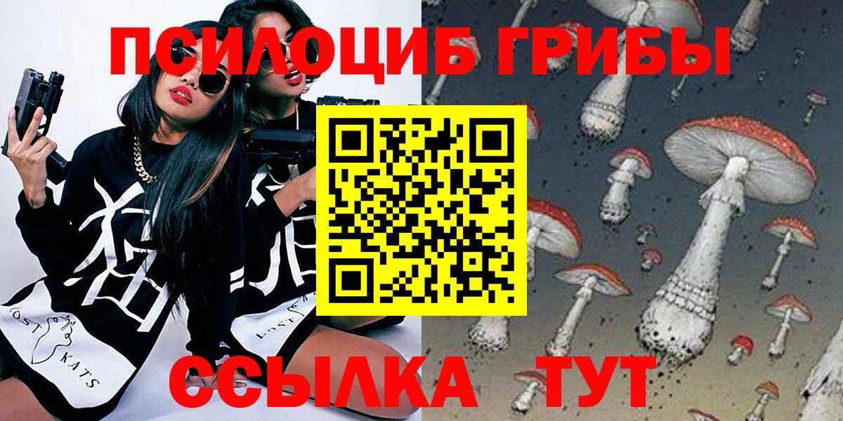 Псилоцибиновые грибы Psilocybine cubensis Егорьевск